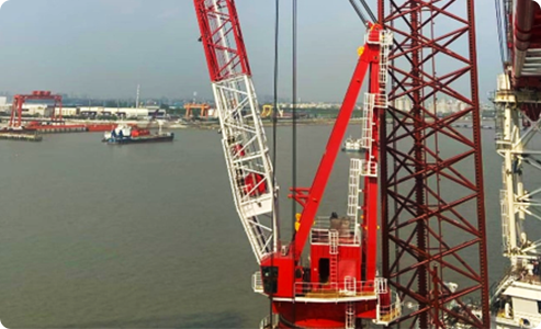 Slew-bearing Crane-wire Rope Luffing Crane